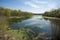 pristine pond surrounded by clear waters, but with the threat of agricultural runoff nearby