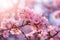 Pristine Spring sakura flowers. Generate AI