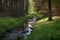 pristine stream running through forest, with runoff from nearby farm visible