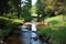 pristine stream running through forest, with runoff from nearby farm visible