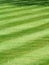 A pristine striped grass lawn