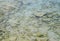 Pristine Transparent Water with Underwater Stones - Abstract Natural Background