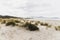 Pristine untouched Australian beach in Marion Bay in Tasmania with no people