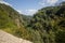 Pristine, untouched forest in the highlands, green hills.