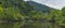 Pristine vibrant jungle scene with many water buffalo in wild river seen in West Sumatra, Indonesia