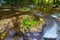 Pristine waterfalls deep in the woods, in autumn