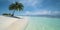 A pristine white sand beach with turquoise waters and a single palm tree, concept of Coastal Ecosystem, created with