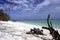 Pristine white sandy beach with drift wood