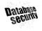 Privacy concept: Database Security on Digital background