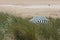 Privacy: Striped beach umbrella in grassy dunes