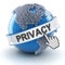 Privacy symbol with digital globe, 3d render