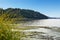 Private beach with Puget Sound view, Burien, WA