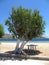 Private beach seating in Livadi bay on Serifos island