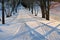 Private drive in countryside covered with snow