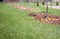 Private garden  area with trees attacked by dry autumn leaves