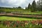 Private Garden and south facade Zubov Wing of Catherine Palace in Catherine park, Tsarskoye Selo ( Pushkin ), suburb of St. Peters