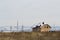 Private modern two-storey house under construction without a fence in a field in winter