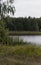 Private pond in the summer in the countryside