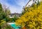 Private swimming pool at springtime, blossoming trees