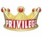 Privilege Word Gold Crown Upper Class Rich Wealthy Royalty