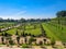 The Privy Garden at Hampton Court Palace
