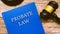 Probate law and gavel on a brown wooden table.