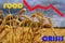 Problems with the supply of wheat and flour. Food supply crisis