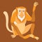 Proboscis Monkey. Vector illustration.