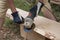 Process of abrading peel of wooden plank from pine for log house ceiling