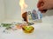 Process of burning fake euro banknotes