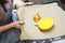 The process of cooking pumpkin for baking. Vegetables on a pan for baking.