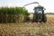 Process of corn silage harvest at farm