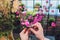 Process of creating a bouquet florist flower shop close-up. Woman hands and implement.