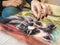 Process of creating a picture of wool. Contemporary art - felting wool, handmade. The painting -depicts the cheerful raccoon. The