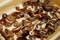 The process of drying wild mushrooms in the oven, on a baking tray lined with brown paper. Sliced mushrooms let the juice run out