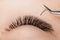 Process Eyelash extension procedure top view. Master tweezers fake 5d lashes beautiful woman eyes