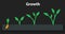 The process of growing plants. Stages and timeline infographic of planting tree.