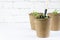 The process of growing seedlings at home. Pots with tomato seedlings, and a shovel on a white gray background. Agriculture