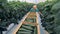 Process of harvesting of cucumbers grown in a greenhouse