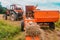 The process of harvesting hay for cattle, a tractor making bales in the field, old machinery