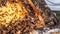The process of harvesting honey from stingless bee hive