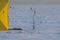 Process of ice fishing, group of fishermen on ice near tent shelter, with equipment in a winter snowy day, tents and ice auger on