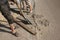 The process of laying the sidewalk curb. Workers place a deflected piece of concrete curb into a prepared recess or trench