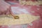 The process of making homemade Italian pasta. Italian woman preparing homemade pasta in the kitchen, close-up on hands. Different.