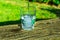 Process of pouring pure clear water into a glass from top, wooden log, green grass in the background, outdoors, health, hydration