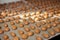 A process of production bakery products at the factory. Sweet cake on the production line at the bakery