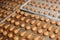 A process of production bakery products at the factory. Sweet cake on the production line at the bakery