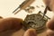 The process of repair mechanical watches