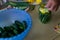 process of salting cucumbers and squash in jar on table. Marinating crops