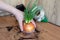 Process of transplanting bell pepper plant into a pot